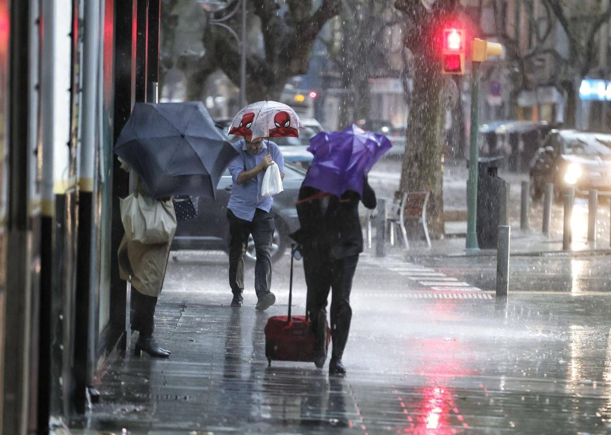 TORMENTA EN PALMA