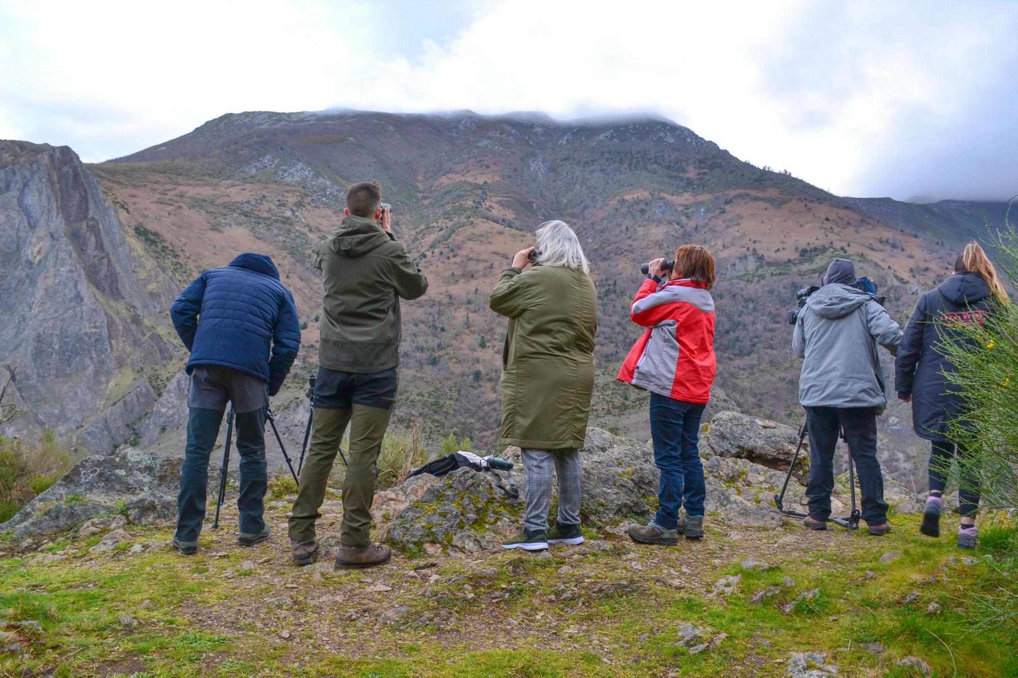 Un grupu de viaxeros, a primer hora de la mañana, participando nun avistamientu oseru en Cangas con Monte Activu.