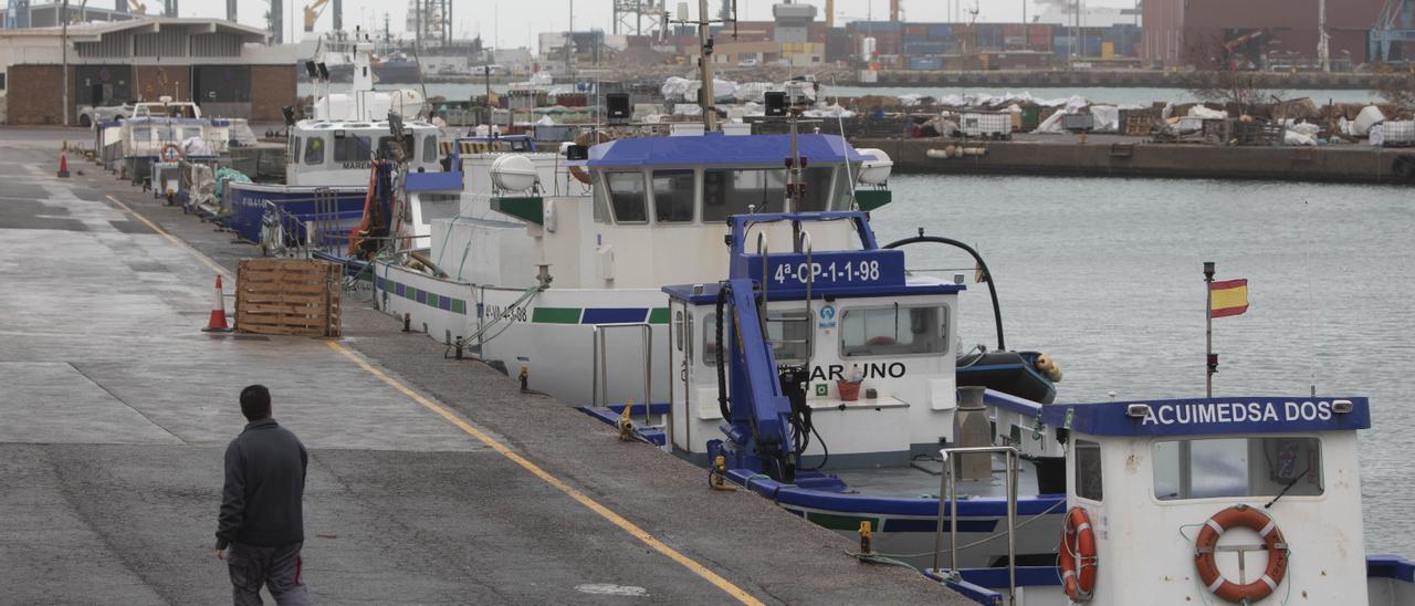 Buques de la cofradía de pescadores de València, ayer, en el puerto.