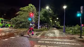 La borrasca Claudia deja en Córdoba 73 litros y más de cien intervenciones con un vendaval y lluvias que desataron el caos en dos horas