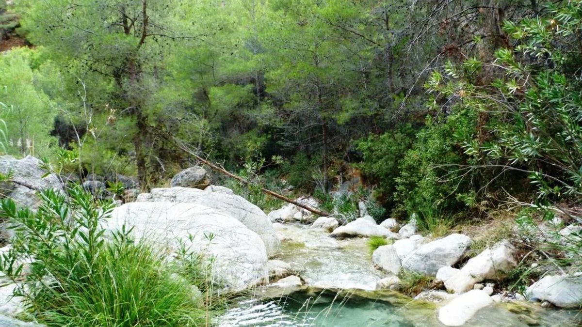 Ruta hacia la Poza de los Patos