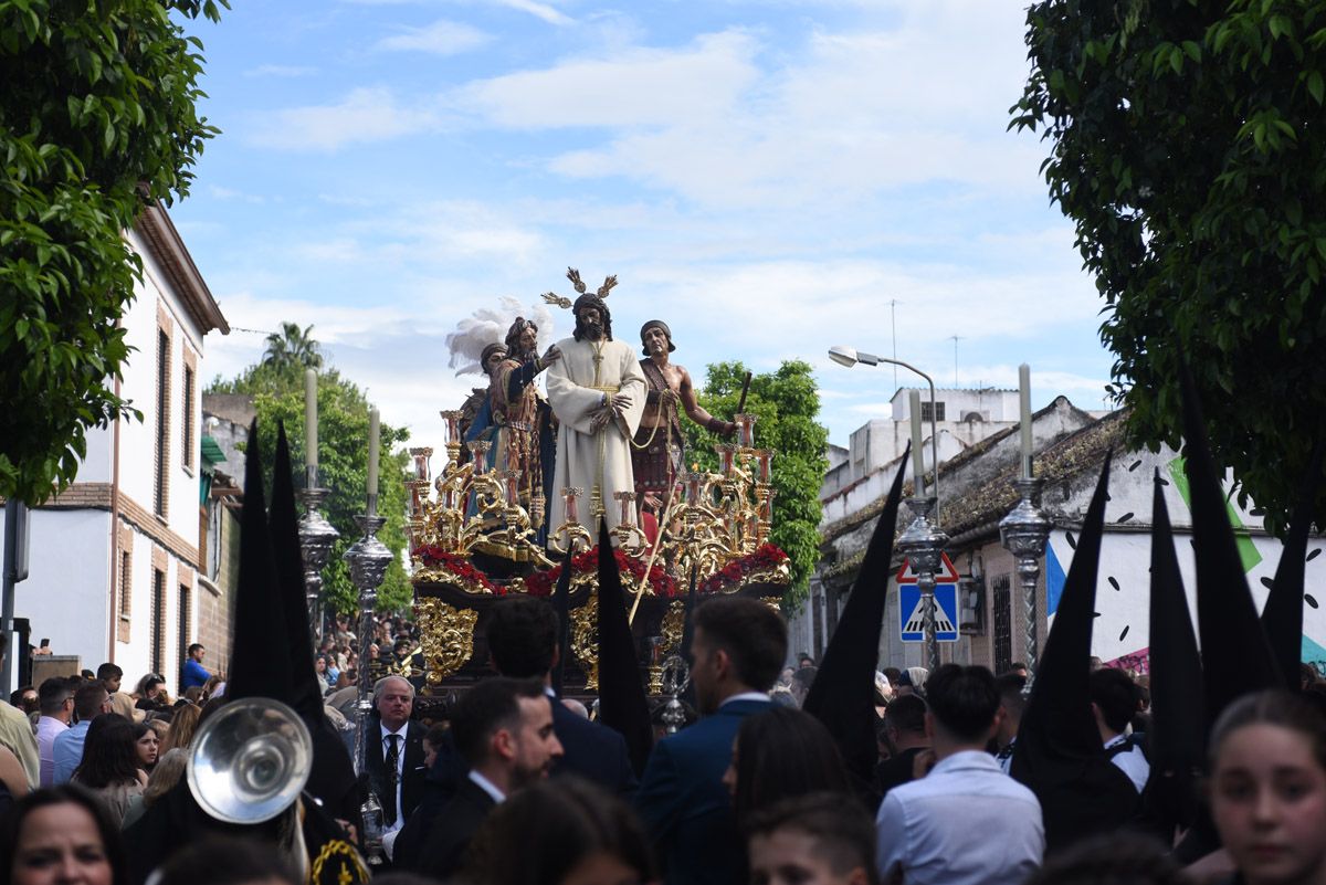 La hermandad del Amor, en imágenes