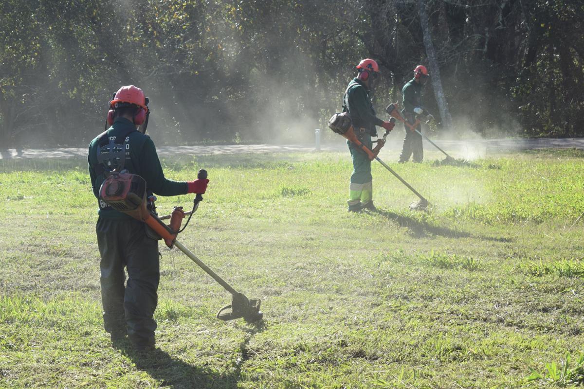 Jóvenes participantes en un taller de desbroces, limpieza y poda.