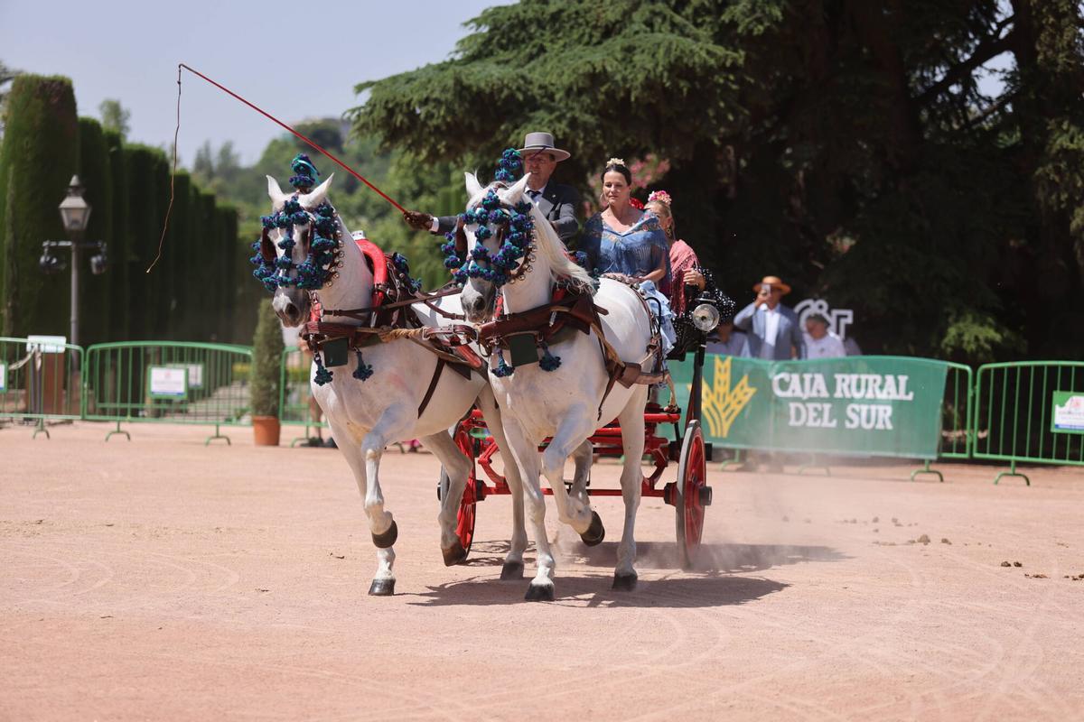 El arte ecuestre toma los Jardines del Alcázar de los Reyes Cristianos para dar el pistoletazo de salida a la Feria de Nuestra Señora de la Salud