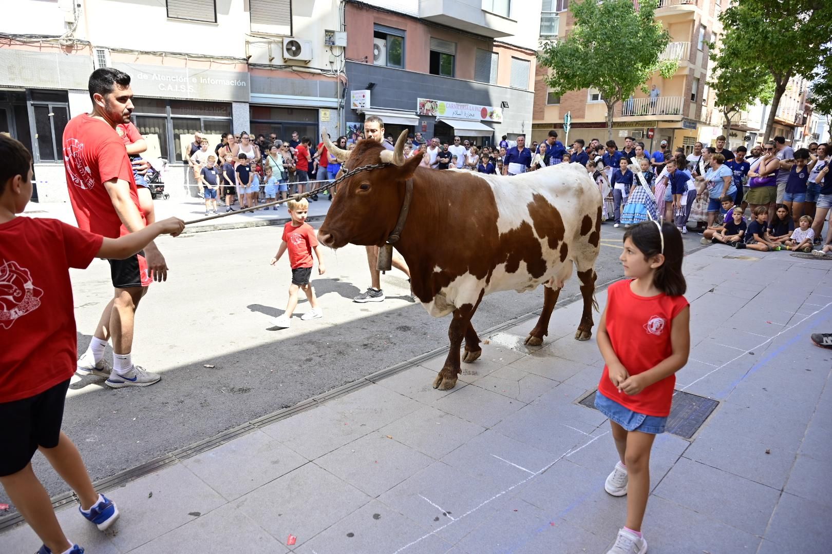 Una 'cagada' vale 1.000 euros
