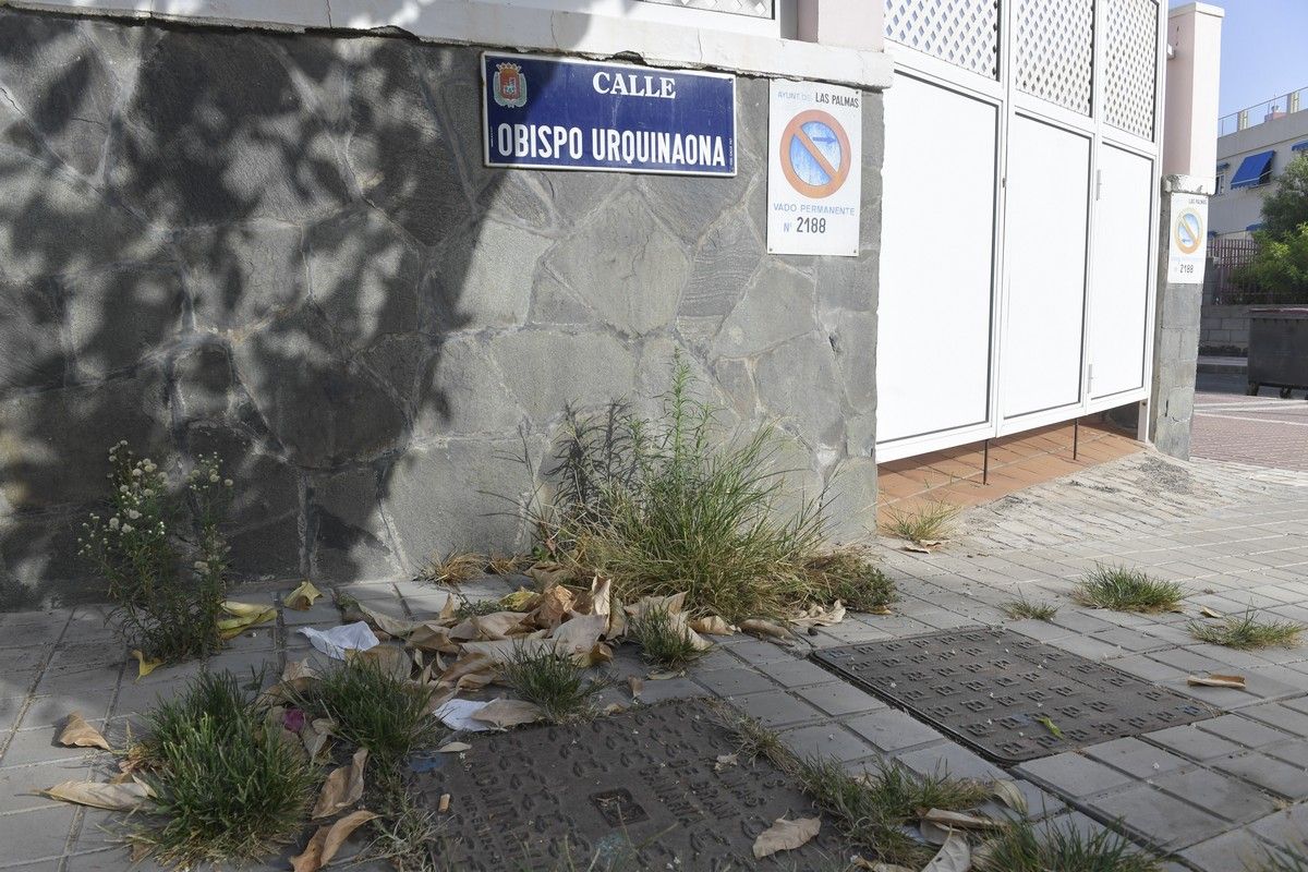 Hierbas en aceras de las calles de Escaleritas