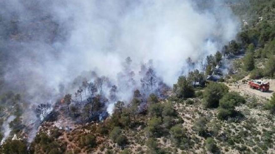 Controlado el incendio forestal de Ayora