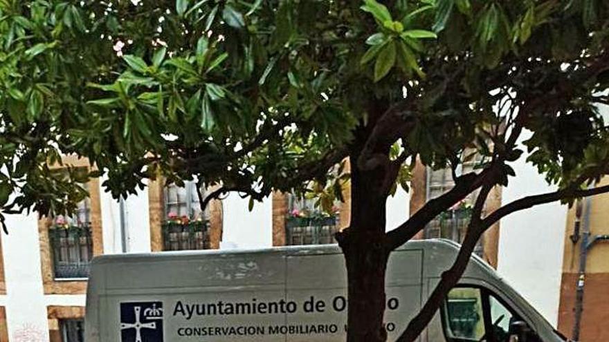 Un operario quita los colores de la bandera arcoíris a uno de los bancos de la plaza.