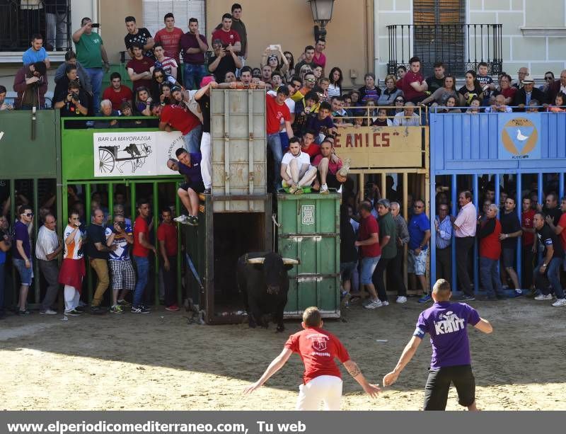 Galería de fotos -- Dos heridos por asta de toro en la penúltima jornada taurina