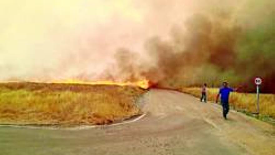 El incendio de Trujillo afecta a una superficie de 2.000 hectáreas de pasto