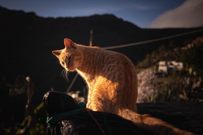 Masca, uno de los pueblos de la Tenerife Vaciada