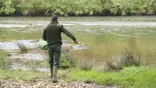 La temporada de pesca de la trucha en Zamora, para el 29 de marzo