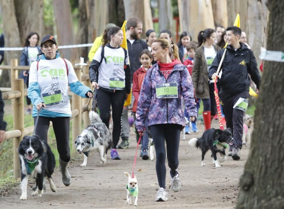 Cerca de 300 mascotas y sus dueños desafiaron a la lluvia y al frío en Castrelos en la Can We Run, organizada por Prensa Ibérica y FARO.