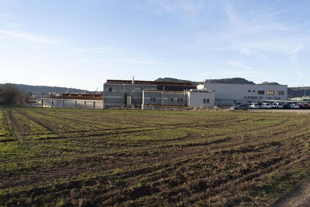 Terrenys adjacents a l'escorxador, al polígon del Prat