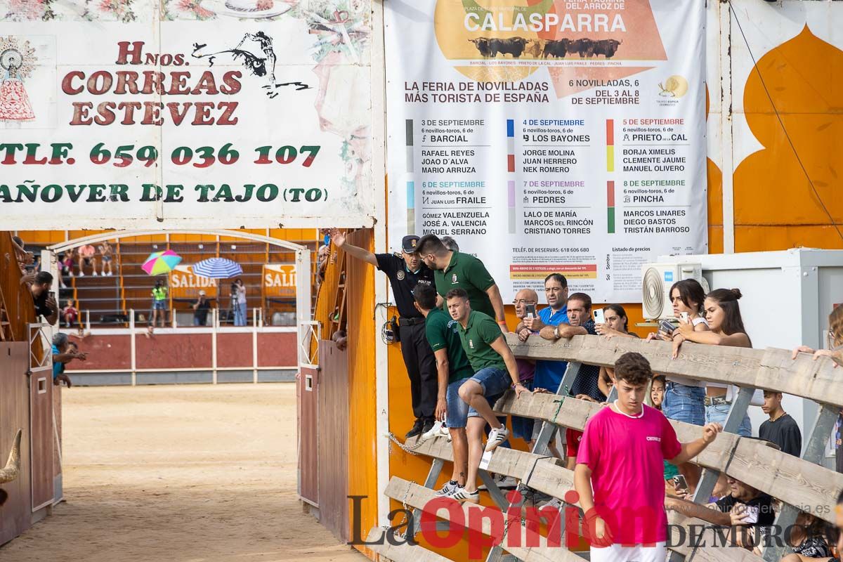 Segundo encierro de la Feria Taurina del Arroz en Calasparra