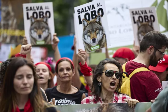 Las imágenes de la manifestación en Madrid por el lobo