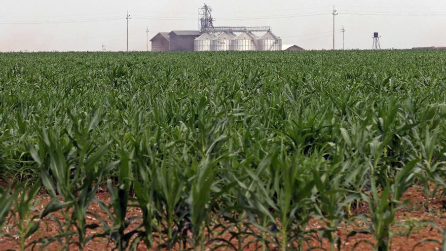 El sector agroalimentari genera 16 de cada 100 euros produïts per l&#039;economia espanyola