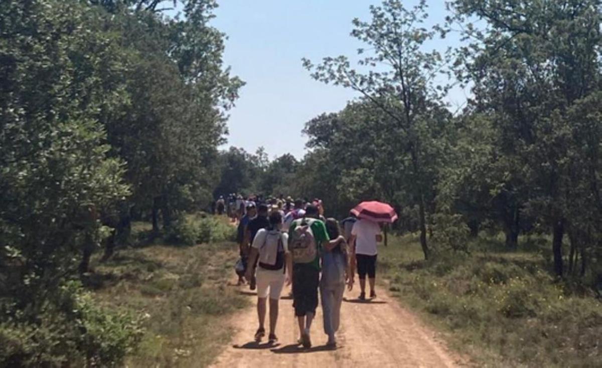 Convivencia para la formación