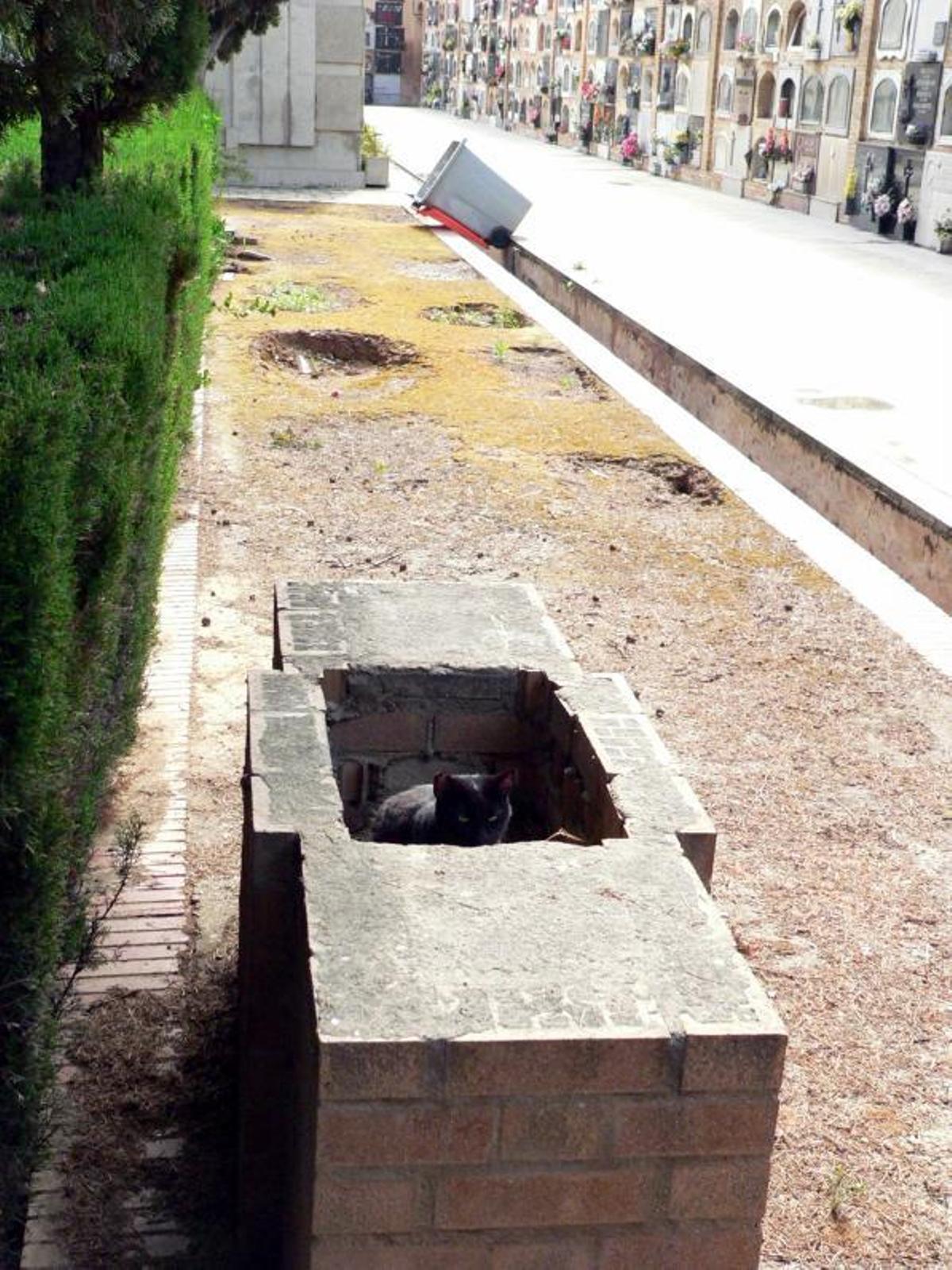 El ignorado sector del cementerio con fusilados de los dos bandos