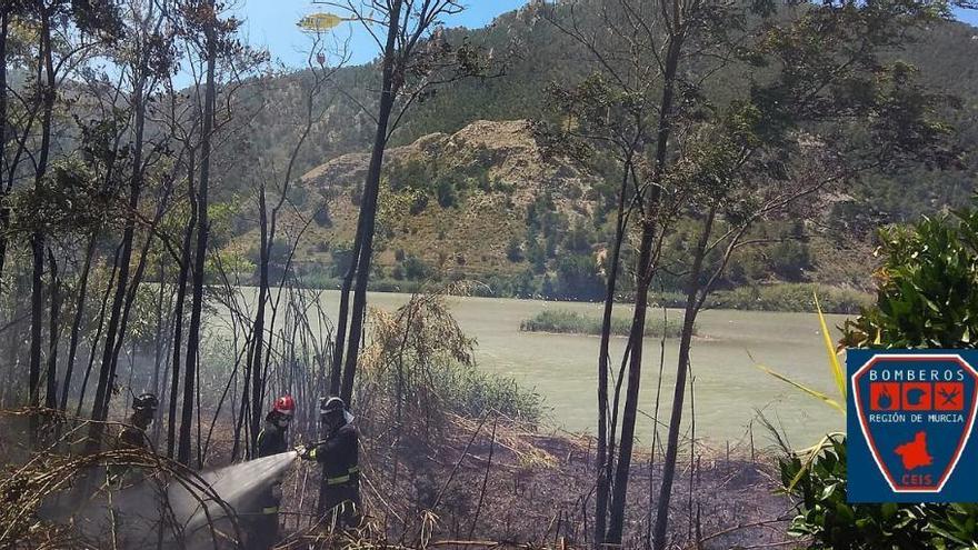 Incendio de cañas junto al azud de Ojós