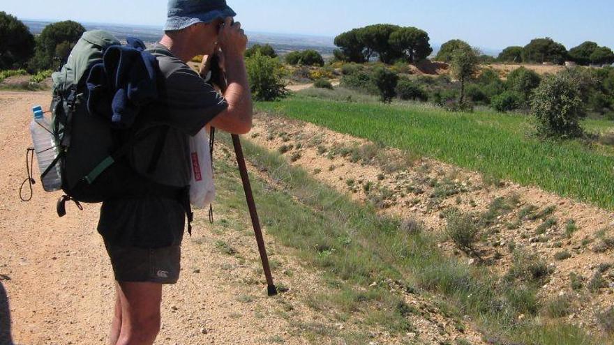 Un peregrino por las rutas jacobeas de la provincia de Zamora