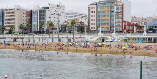 Dia del Pino en la Playa de Las Alcaravaneras