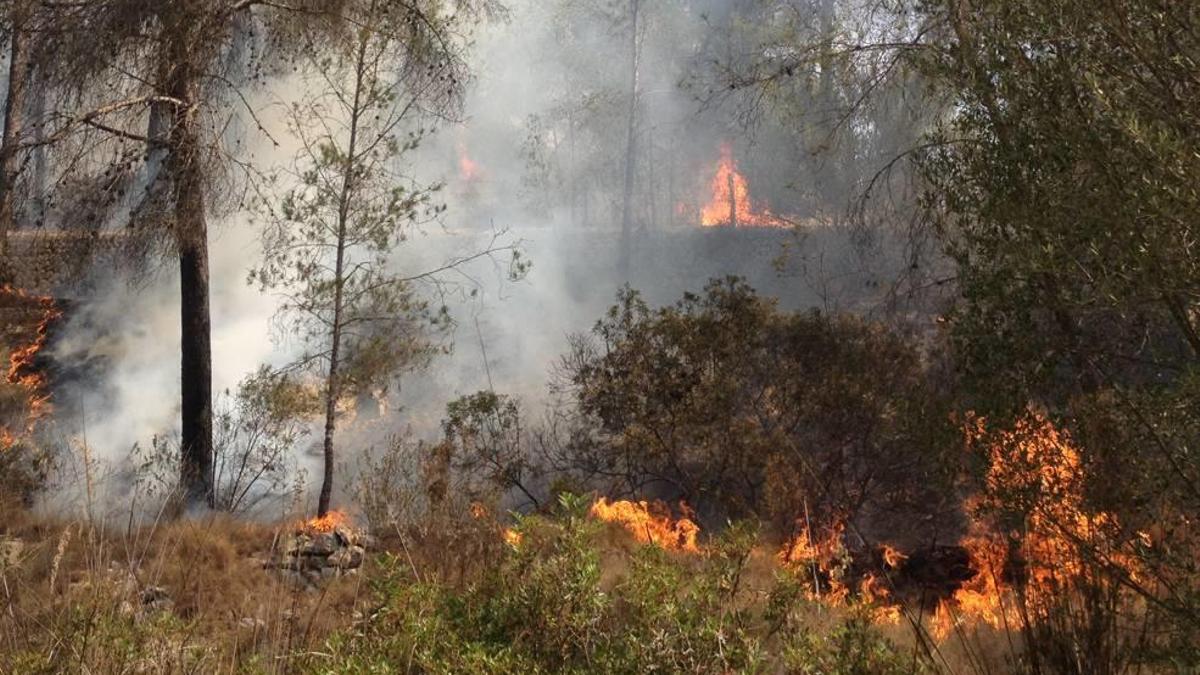 PELIGRO DE INCENDIOS EN MALLORCA