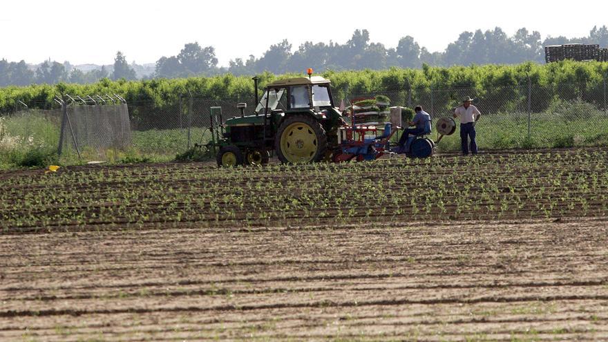 11.732 agricultores y ganaderos extremeños están llamados a las urnas