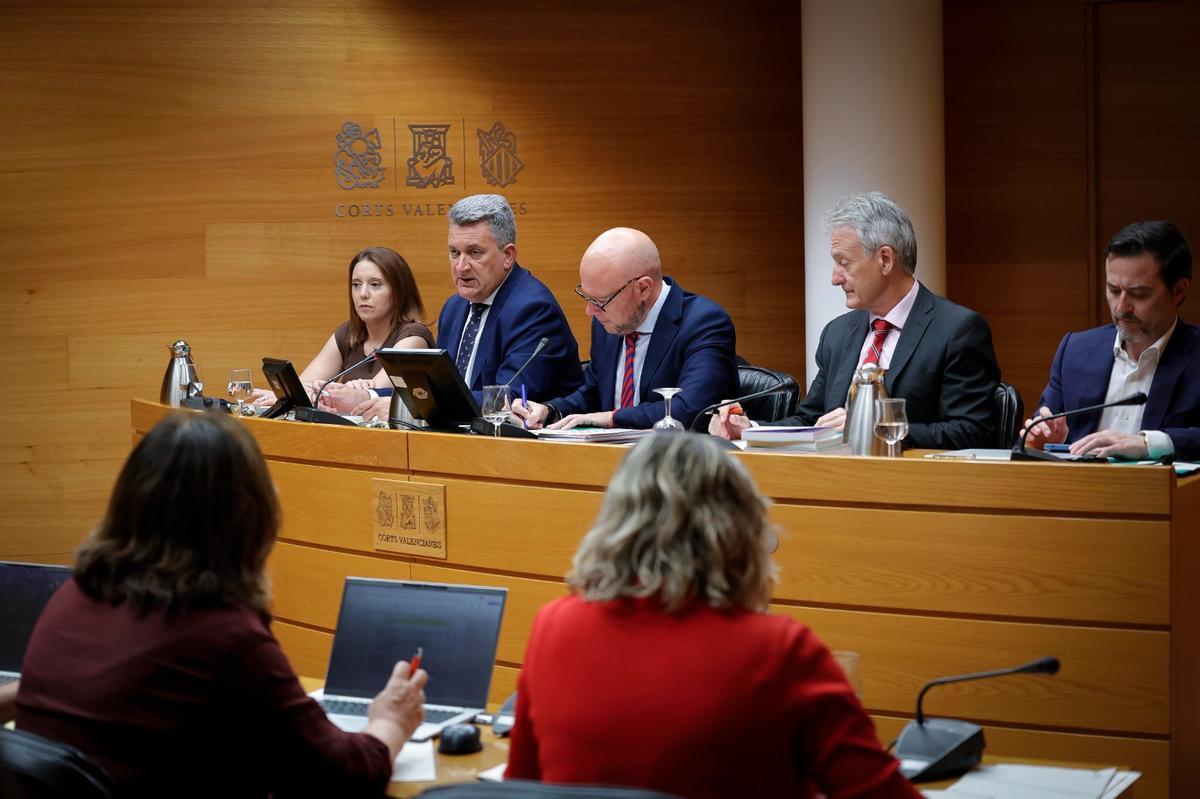 Vicente Martínez Mus, segundo por la izquierda, durante su comparecencia en las Cortes este miércoles.