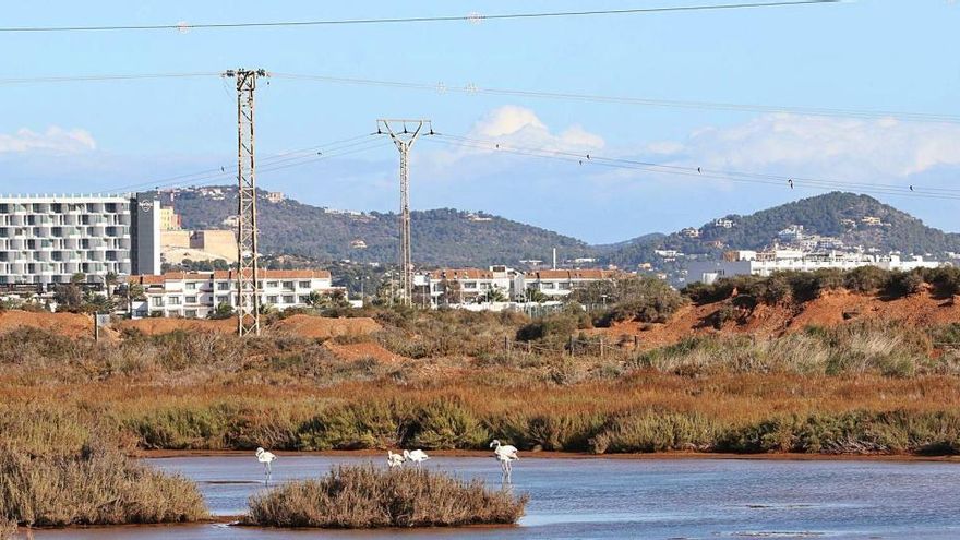 Tendido eléctrico en la zona de estanques de sa Sal Rossa con señalizadores para evitar colisiones de aves.