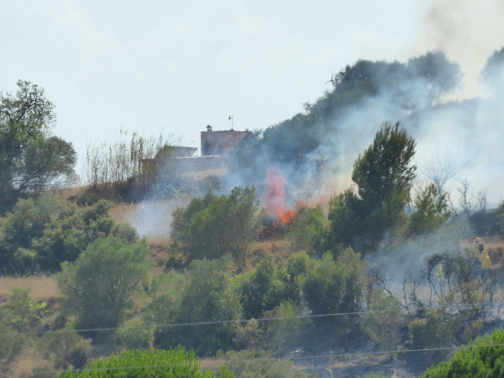 Un incendi ha cremat 3,5 hectàrees al costat de l'Ap7 a Vilafant