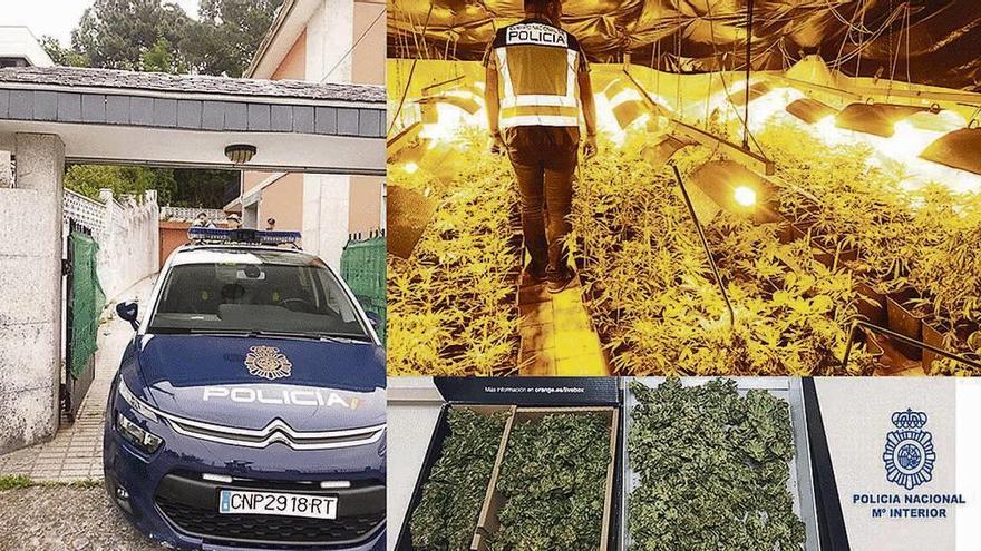 La Policía desmantela una plantación de marihuana en un chalé de Sanxenxo