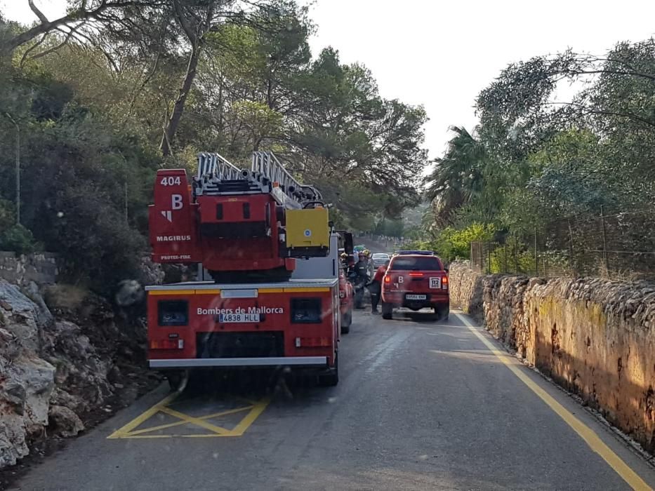 Trabajos en las zonas más afectadas por la tormenta en Baleares