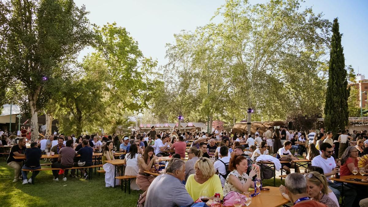 Zaragoza acoge la II Feria Internacional de la Garnacha.