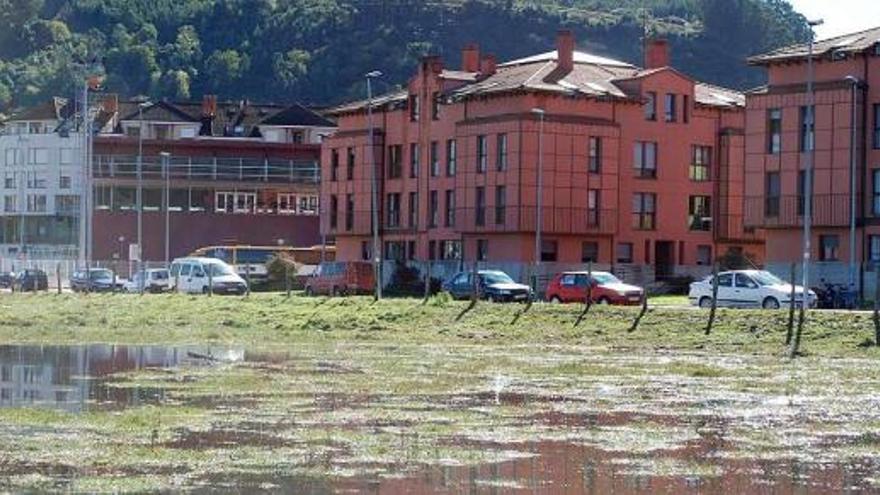 Terrenos próximos al campo de fútbol de Les Caleyes, al polideportivo y a las viviendas sociales, anegados de agua, ayer por la mañana.