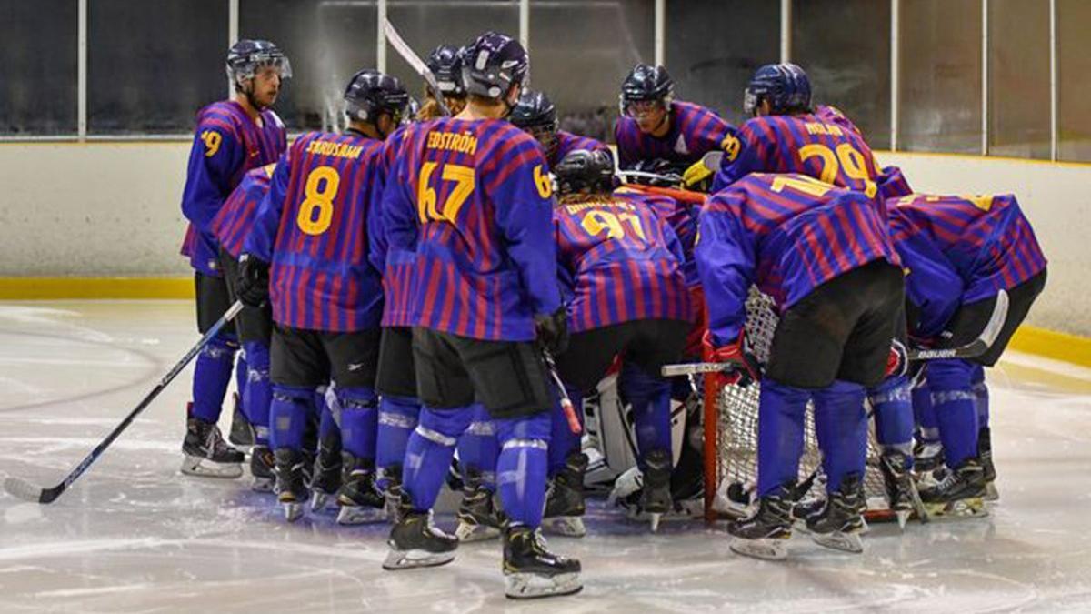 hockey-hielo-bara2