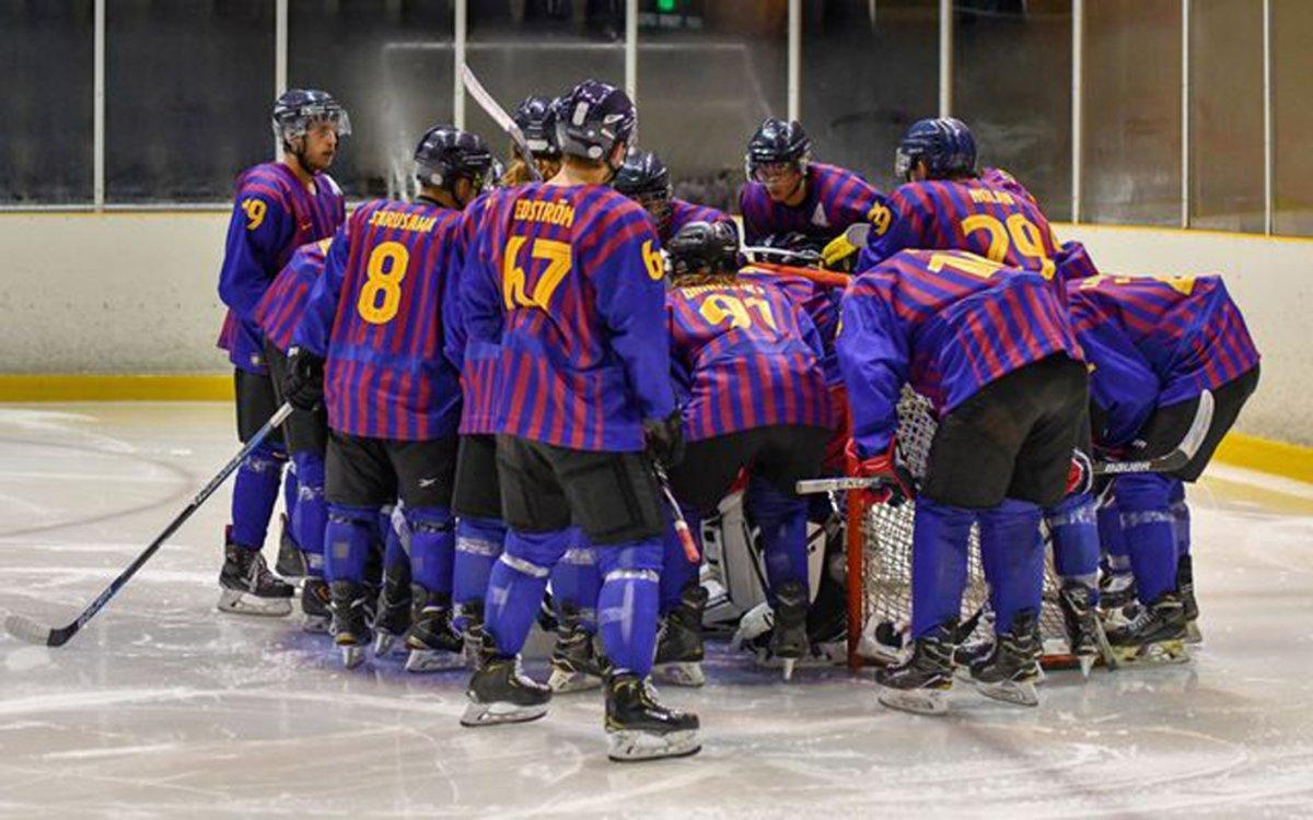 hockey-hielo-bara2