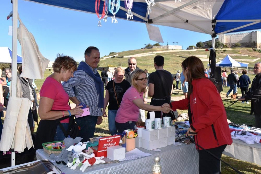 Decenas de personas se reunieron junto al Castillo Sohail para celebrar el Día del perro que se celebra desde hace siete años en Fuengirola.