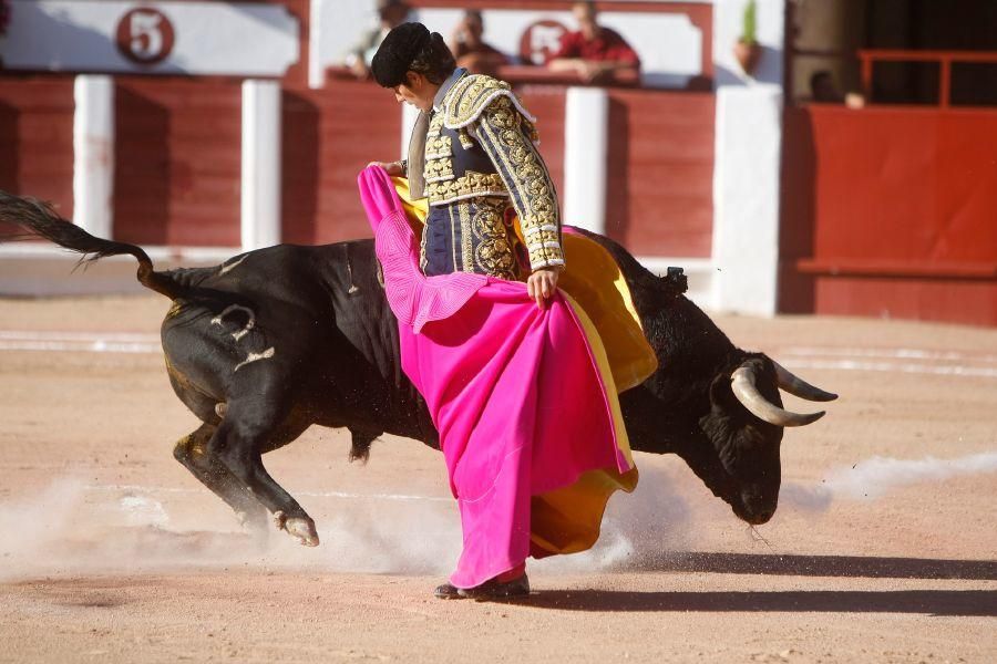 Toros en Zamora