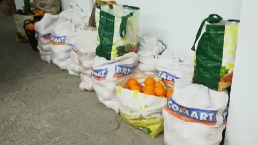 Las naranjas recuperadas por el Consell Agrari.