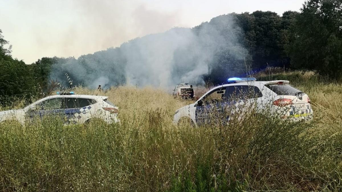 Dos coches patrulla de la Policía Local de Parets del Vallès.