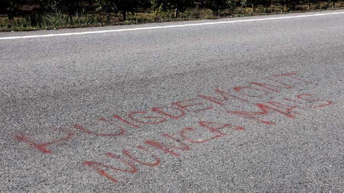 La pintada ha aparegut a la carretera L-800, aquest matí.