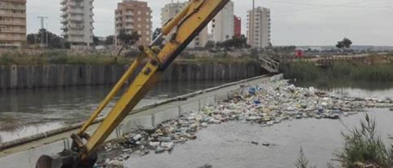 Guardamar retira la basura acumulada en el antiguo cauce del río Segura