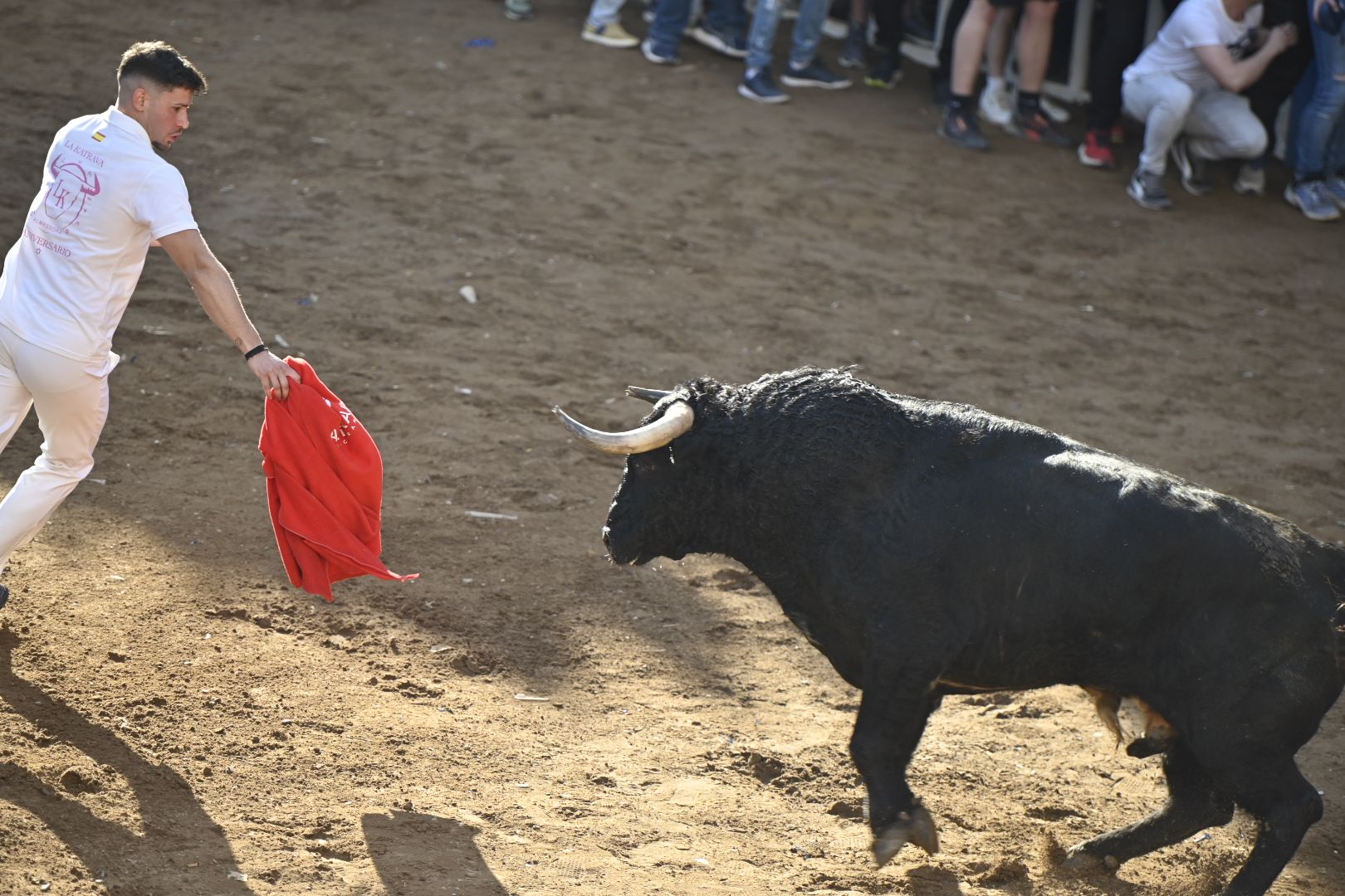 Galería | Primera tarde de toros en Almassora