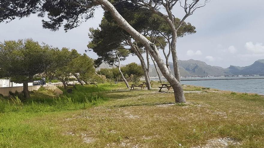 Llenaire, la tranquila playa de Mallorca donde el veneno siembra el terror entre los perros (y sus dueños)