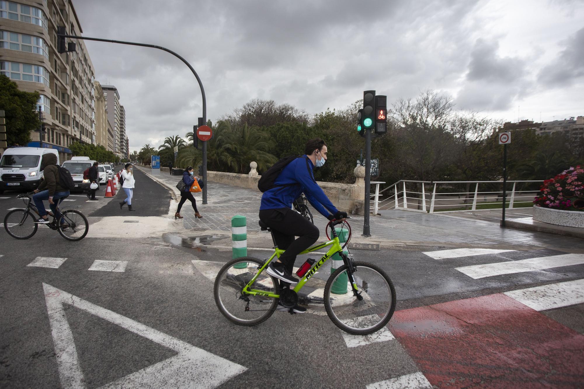 Así están las obras del nuevo carril bici del Paseo de la Ciutadela