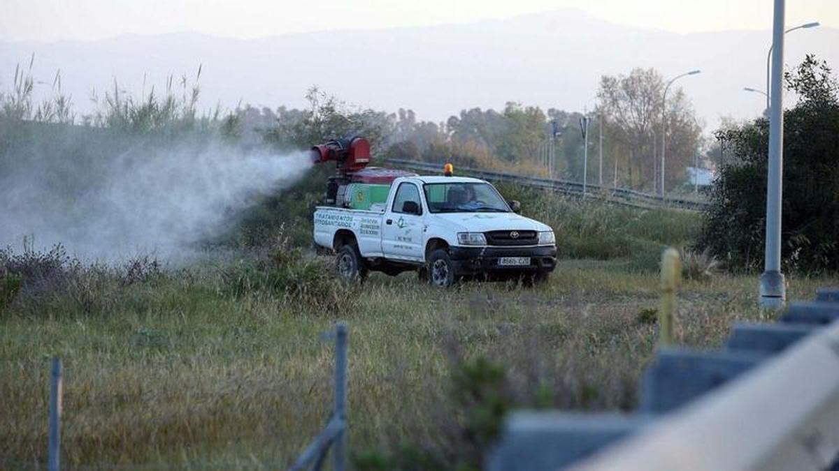 Fumigación en la desembocadura del Guadalhorce.