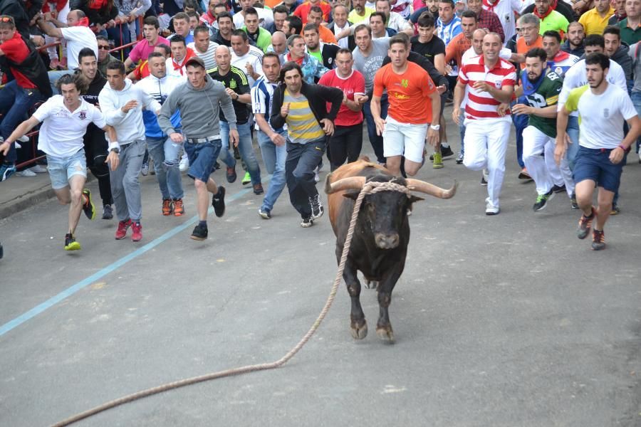 Enmaromado 2016: Lechugazo da la talla