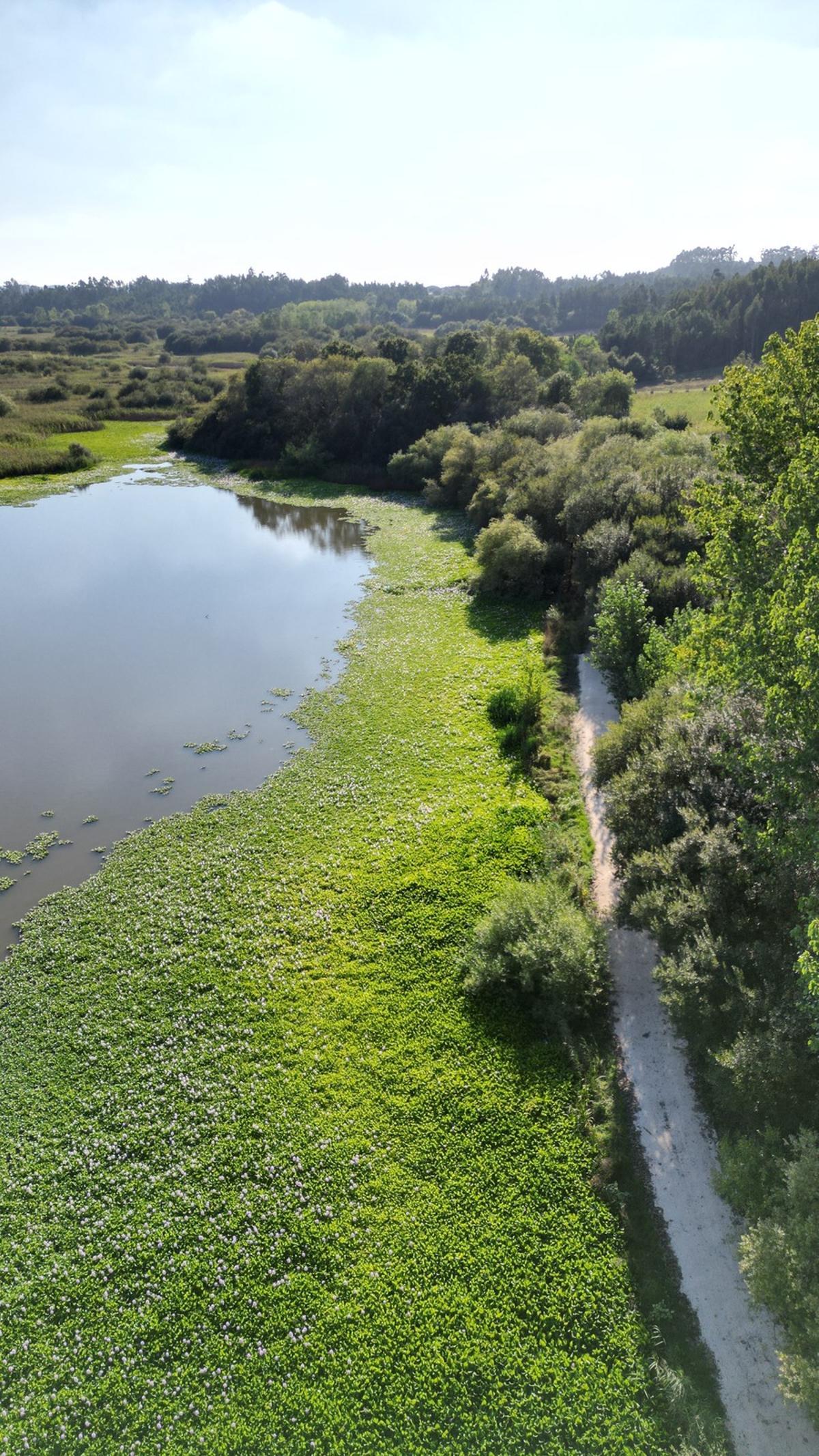 Pateira de Fermentelos, la laguna «dormida» de Portugal