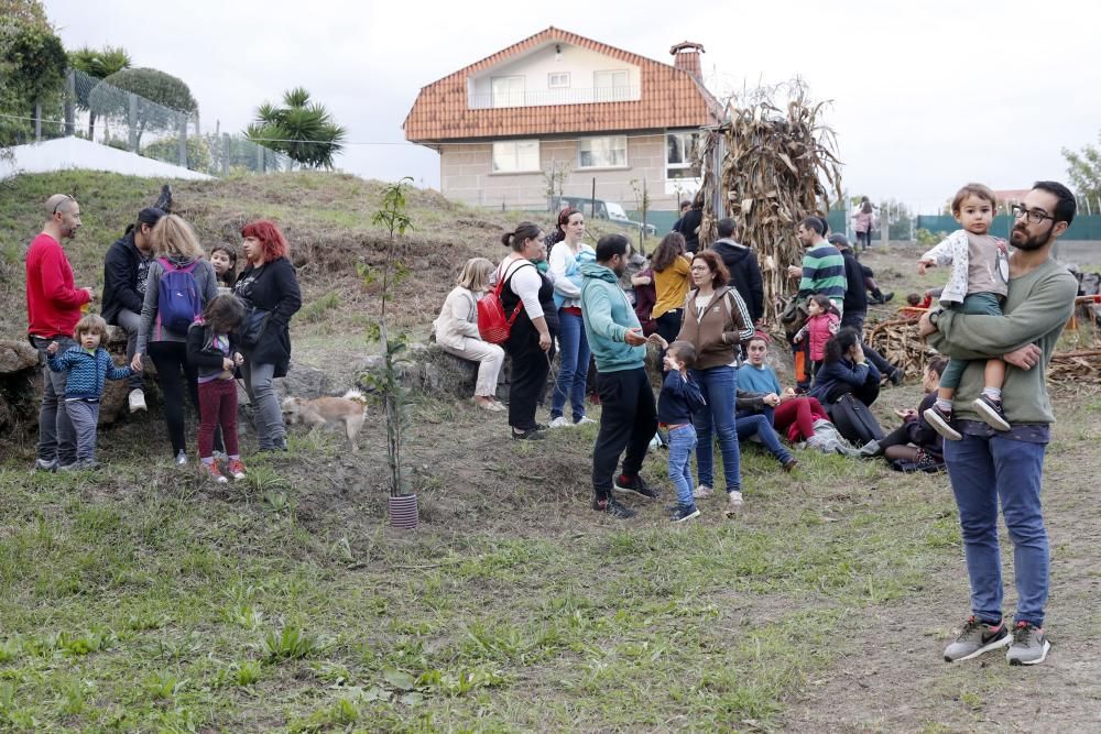 Matamá revive la tradición con su Festa da Colleita do Millo